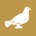 Siasat_Logo
